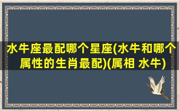 水牛座最配哪个星座(水牛和哪个属性的生肖最配)(属相 水牛)